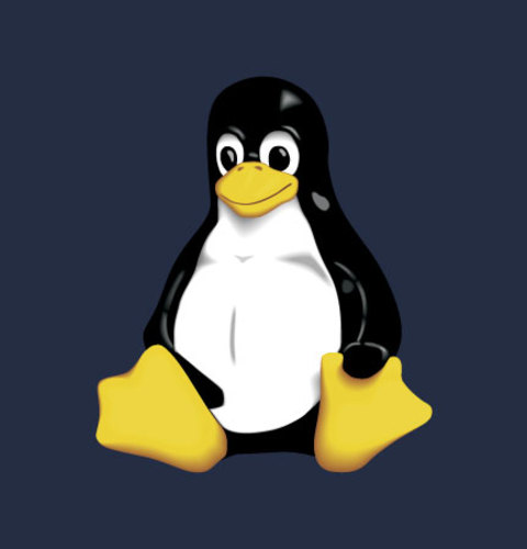 Linux Guide